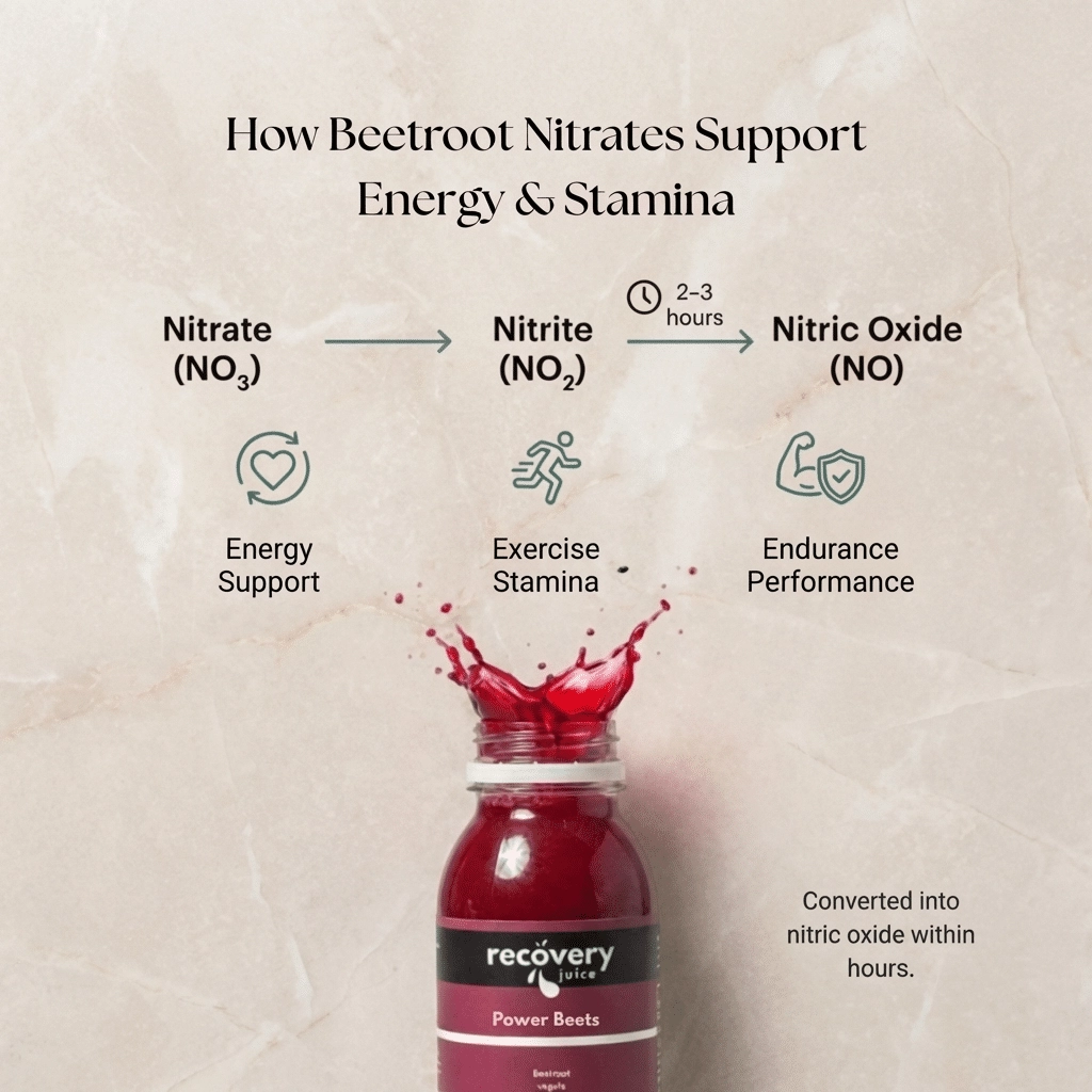 Diagram showing how beetroot nitrates convert to nitric oxide to support energy, stamina and exercise performance.