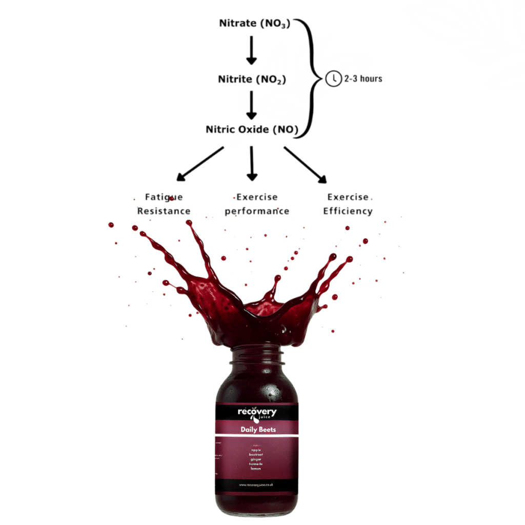 Beetroot nitrate to nitric oxide pathway diagram showing how Daily Beets supports circulation and blood flow