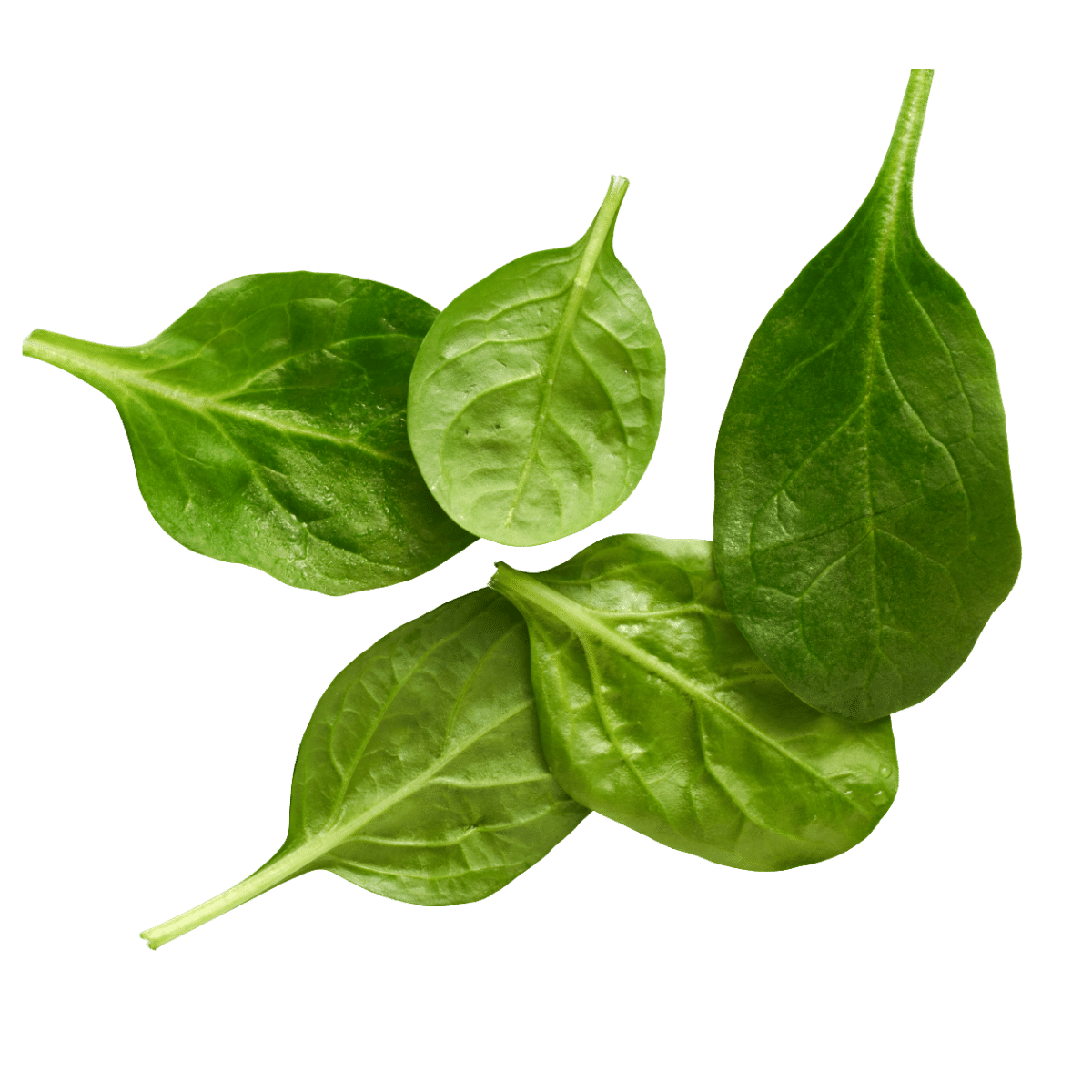 Fresh spinach leaves – nutrient-rich green juice ingredient used in our low sugar, 5 day green juice cleanse. Buy online for detox and vitality.