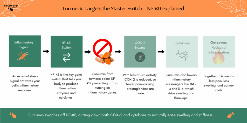 Diagram showing how curcumin from turmeric blocks NF-κB, reducing COX-2 activity and lowering inflammatory cytokines, easing joint pain and swelling naturally.