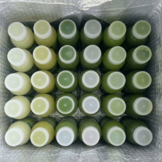 Recovery Juice green cleanse bottles packed upright in an insulated delivery box, viewed from above